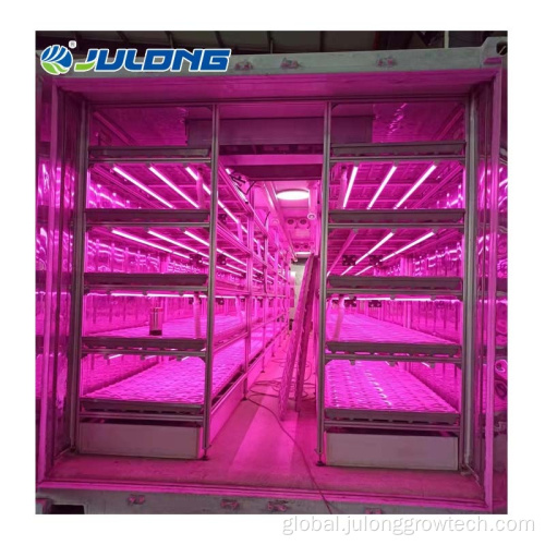 Mushroom Container Plant Factory Mushroom Container Greenhouse with Hydroponic Growing System Supplier